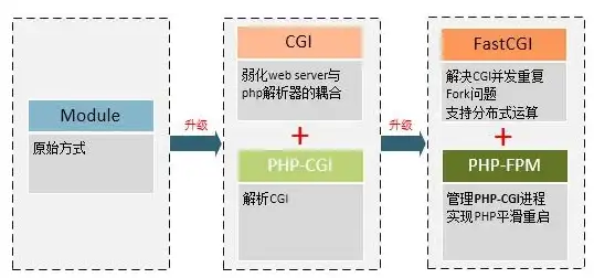服务器管理 脚本优化：如何正确选择和使用服务器脚本格式？