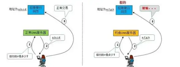 域名解析 网站搭建 服务器自带域名是真的吗？详细解析服务器与域名的真实关系