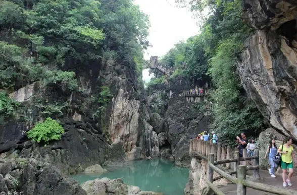 曲曲弯弯代表什么生肖，精准解答解读落实