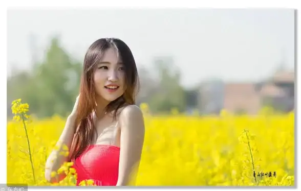 与众不同是什么生肖，词语解释落实