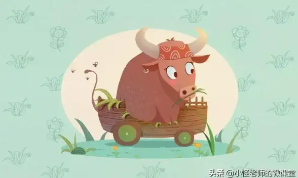 牛刀小试指什么生肖，解释落实
