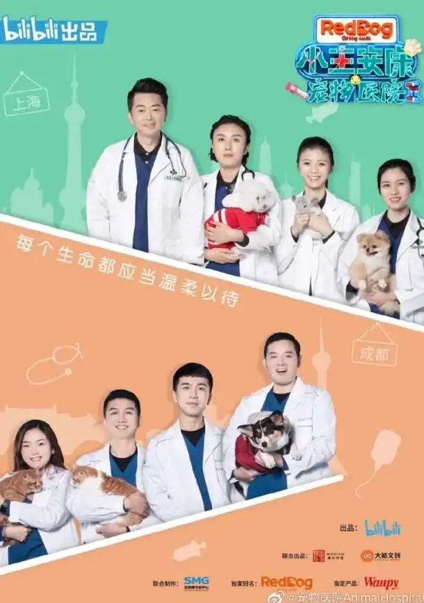 独家·攻略·干货｜DNF超强回归宠物推荐及培养全攻略解析