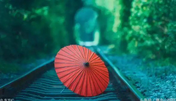 与众不同指什么生肖，经典解释落实