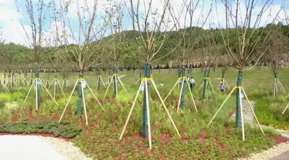 游戏硬件🚀蓝宝石显卡赋能，畅享极致图形体验升级
