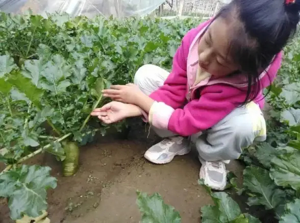 攻略📌指南📌宝典 真三国无双 起源玄武称号快速领取全流程解析