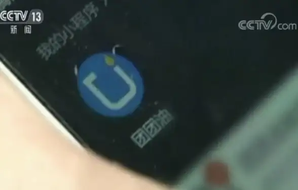 热门攻略◆高效技巧◆龙虾任务速通指南分享丨星露谷物语必看！