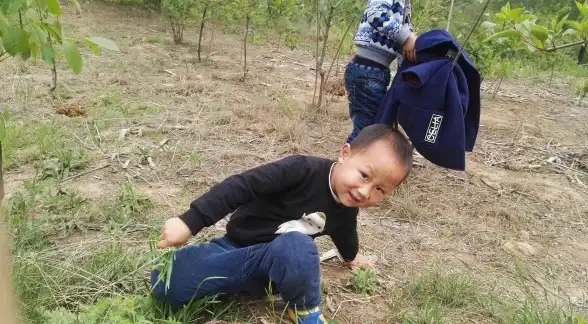 源代码技术亮点—全面解析：电脑维修与移动开发实力升级｜IT新趋势 精准指导