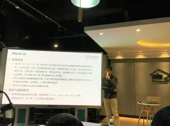 安全防护🛡企业级开发者在未受信任环境下的高效安全应对方案