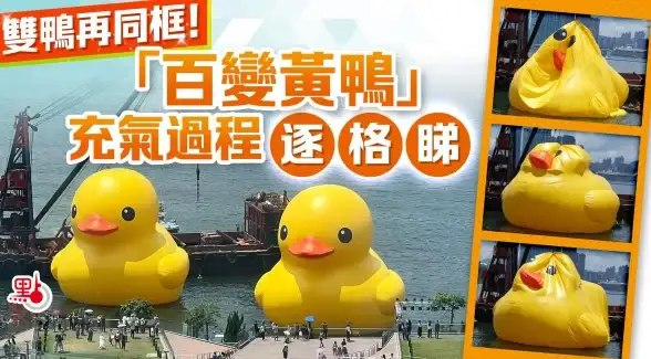 网络安全 上网防护 如何安全地畅游网络世界，保护个人信息远离网络风险