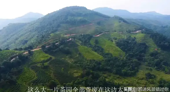 数据安全,稳定性评估-棉花云福州数据中心安全与稳定性评测
