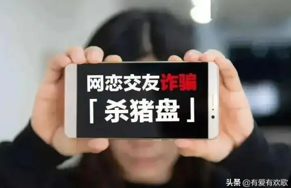 网络防护 系统加固 如何安装安全网络？详细步骤助你构建高效安全的上网环境