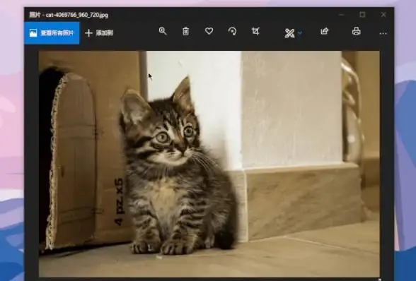 截图技巧 Win11用户必看：轻松掌握屏幕截图的实用方法