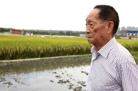 🔥攻略秘籍🔥挑战技巧🔥植物大战僵尸杂交版58关最强植物选择与阵容搭配指南