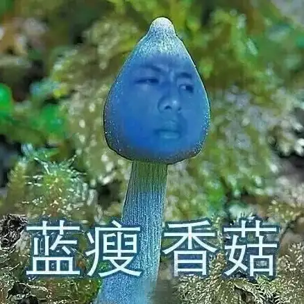洞察｜实操指南｜支付合规】全新解读！支付宝自动提现网站新用户合规操作要点