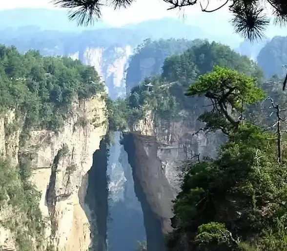 网络故障🛠无线连接｜遇到笔记本没有无线网络连接问题？小鱼带你快速排查与修复