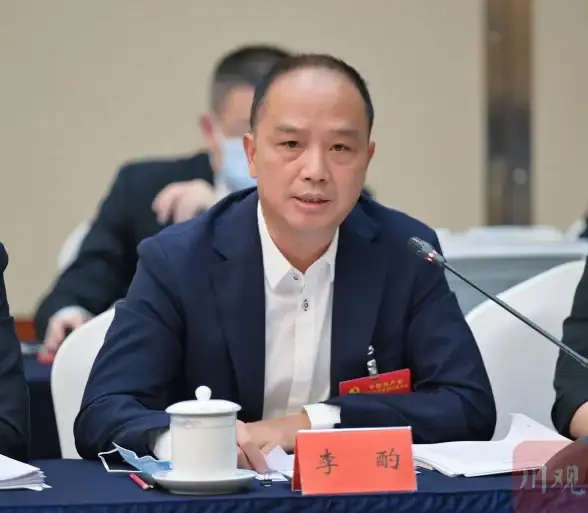 服务器选择,网络优化-选择雅安服务器提升用户访问速度