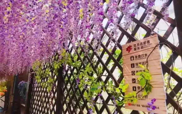 招聘动态🌟联想招聘：携手优秀人才，共绘发展蓝图