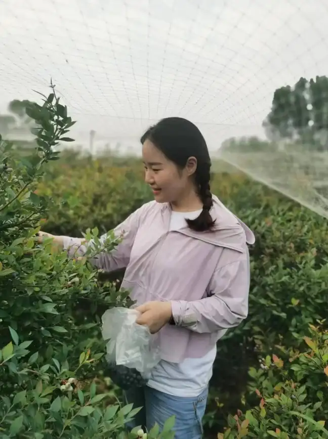 纪录片🍏苹果电影：果园里的四季人生