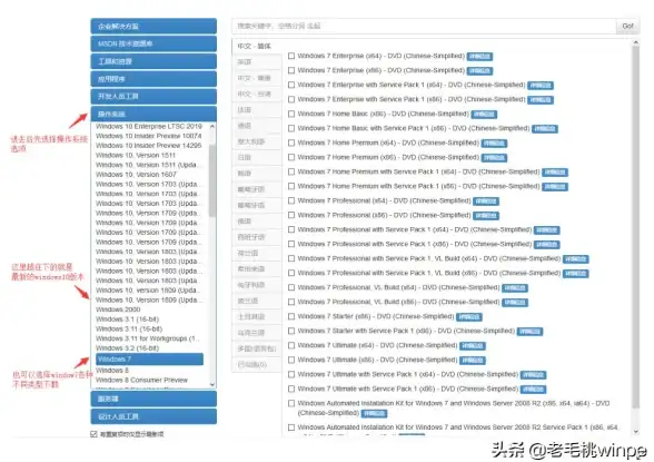 正版系统获取流程🔹MSDN官网下载全指南：详解安全下载Windows的方法
