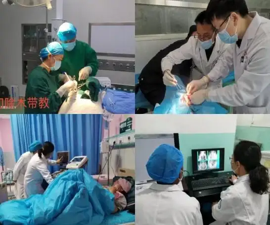 苹果技巧🔑苹果助手：一站式解决苹果产品疑难与操作指南
