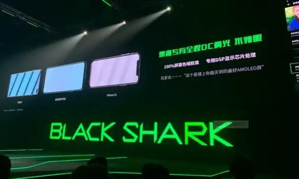 电脑维护🖥黑鲨装机大师出现黑屏如何快速解决