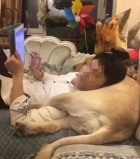 手机故障📱电脑连接💻手机无法识别原因详解与高效修复方法推荐