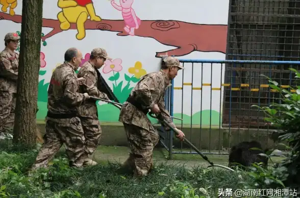 联动🔥限时抢购《和平精英》熊出没限定皮肤获取攻略