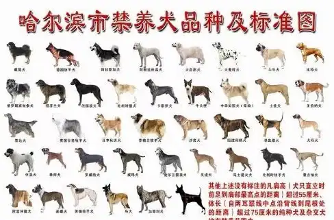 策略分享●高阶挑战●通关指南 植物大战僵尸杂交版第55关全攻略与难点解析