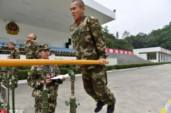 健康秘诀 活力满满 体力回春 我独自生活》体力恢复与习惯大揭秘