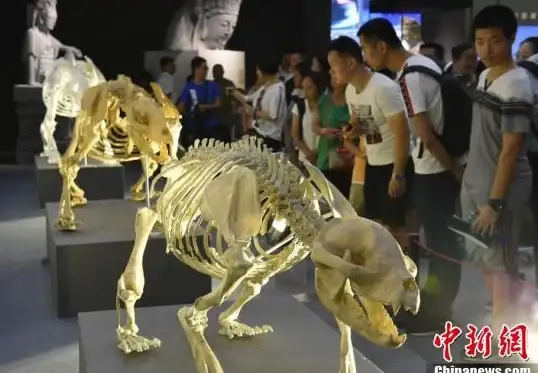 海量音乐资源触手可及，为何不试试疯狂音乐搜索？输入歌名或歌手，立刻畅听！