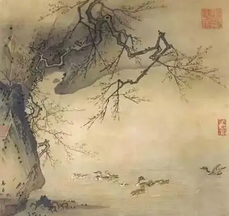 壁纸美学🦜小鸟壁纸全攻略：专家精选推荐与实用搭配技巧详解