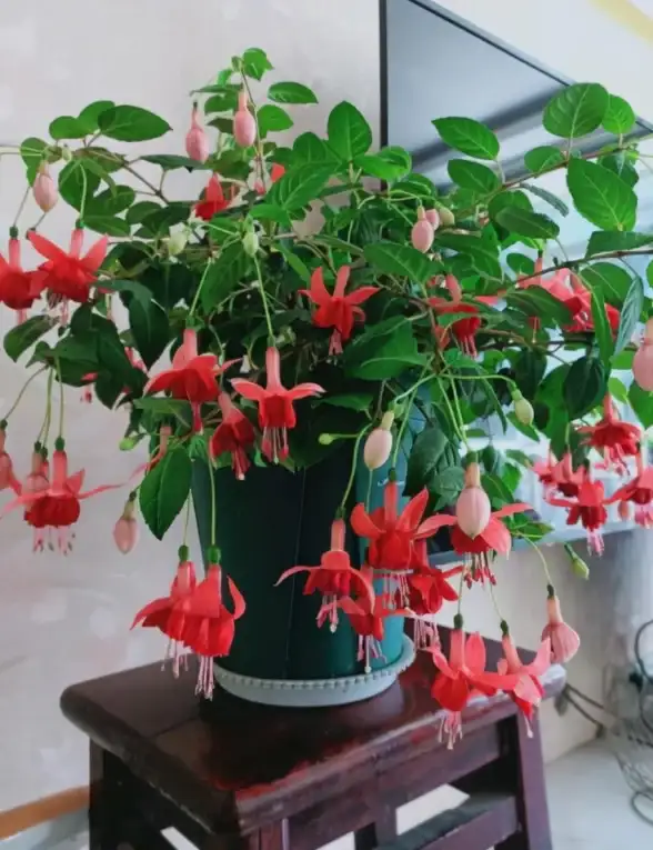 还在为图片转换效率低发愁？试试这款批量转换神器！