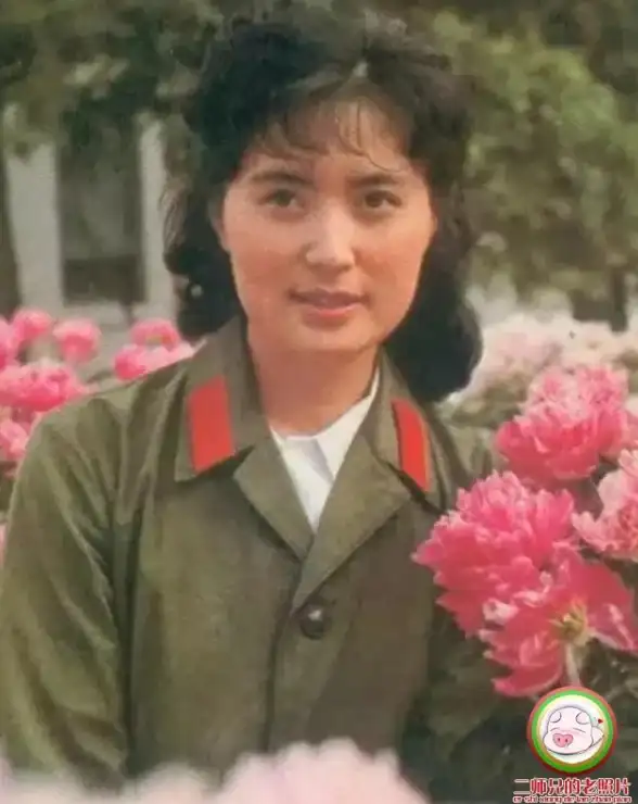 苹果影视下载对比揭秘｜官方渠道选择全攻略—热门使用指南✨全方位解析苹果用户电影获取方式与重要提示