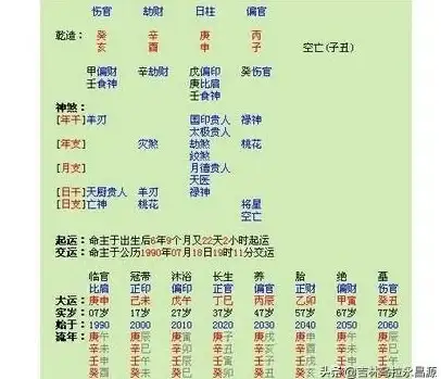 命理分析 生辰八字查询 八字排盘,八字排盘四柱八字免费排盘软件