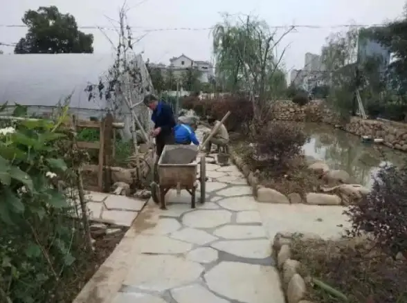 想提升物流办公效率？中通优运APP一键接单，订单信息精准掌握！