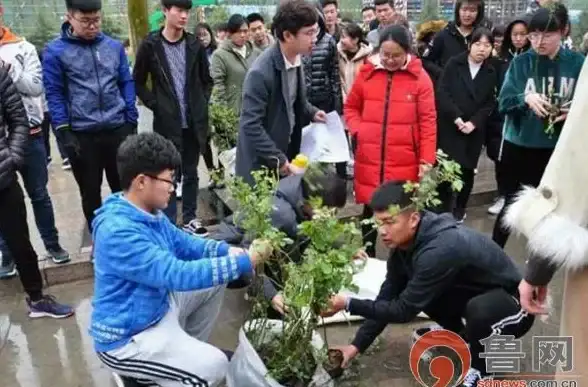 你的手机需要个性化装扮？这款美化APP就是你的不二之选！