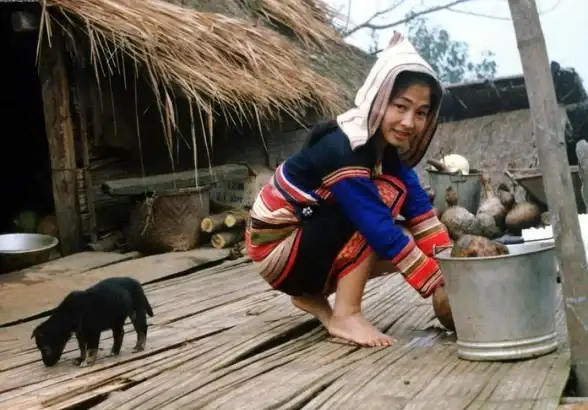 最后的起源B 深度解析终极起源的全攻略