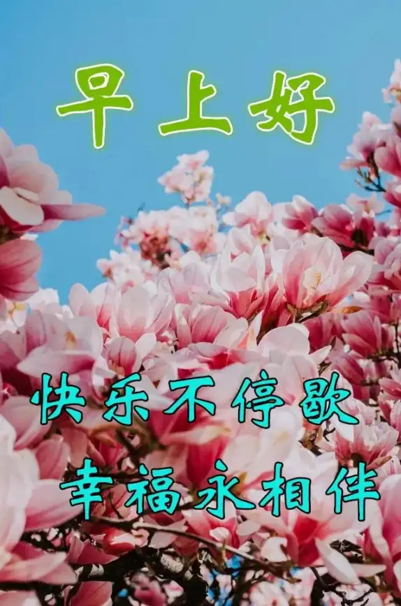还在为烦恼无处宣泄而困扰？这款正能量语录APP让你重拾积极心态！