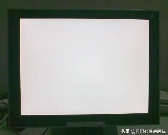 办公技巧📄Word全屏使用方法详解助力高效文档编辑