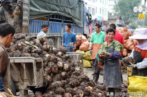 活动爆料⚡隐藏奖励⚡快速通关 阴阳师》元宵隐藏任务全攻略！