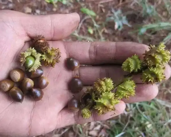 想追剧却找不到好用的TV端应用？瓜子影视TV版海量资源等你来体验！