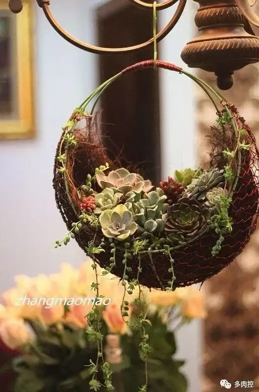 想网购省钱又赚钱？一个圈圈APP的神器功能你体验了吗？