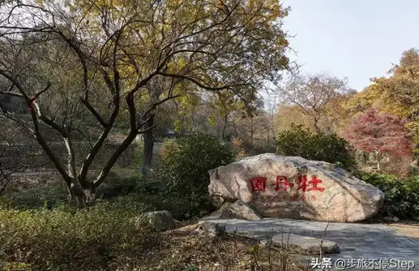 热门攻略 宝宝养成 实用指南 详解QQ飞车手游宝宝培育卡获取全流程与疑难解答