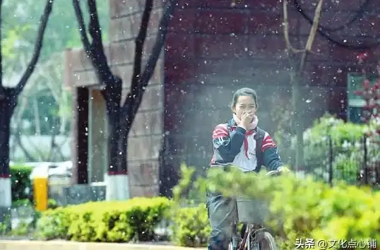 还在为音乐管理烦恼？试试白雪音乐app，本地在线随心听！