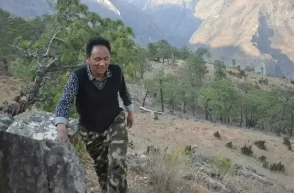 🔥必看🔥独家攻略◆玩森林之子闪退频繁怎么办？超实用解决方案推荐！