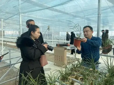热门｜实用｜攻略 我的世界猪灵农场高效建造技巧全揭秘！