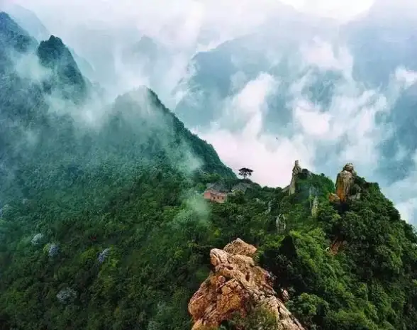 还在为找不到专业的书法学习工具而烦恼？试试墨客书法字典APP，开启你的文艺之旅！